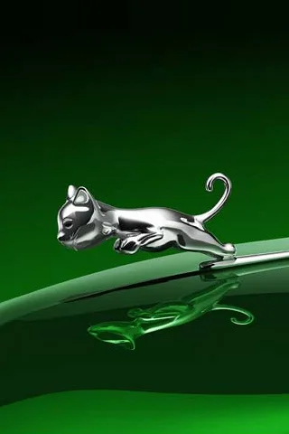 Baby-Jaguar