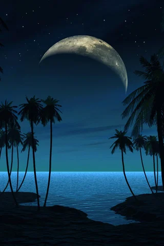 Beach-at-Night