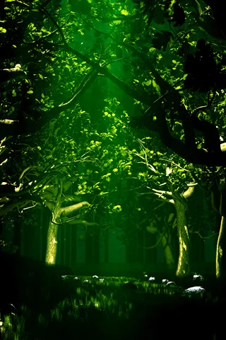 Green-Forest