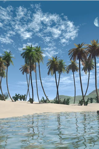 Palm-Beach-3D-iPhone-Wallpaper