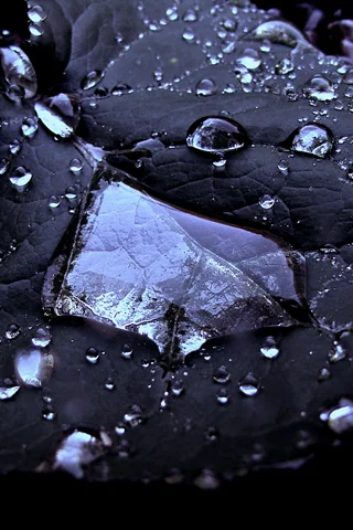 Collecting-Water