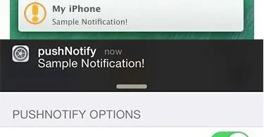 pushnotify options