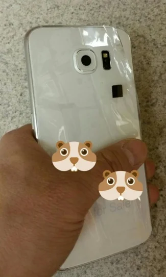 photo galaxy s6-infoidevice