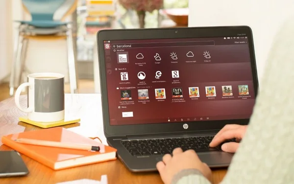 ubuntu 15.04 vivid vervet-infoidevice