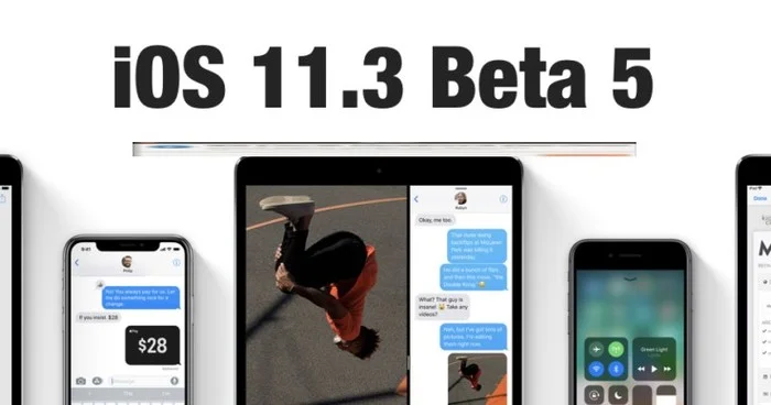 downgrade ios 11.3 beta 5