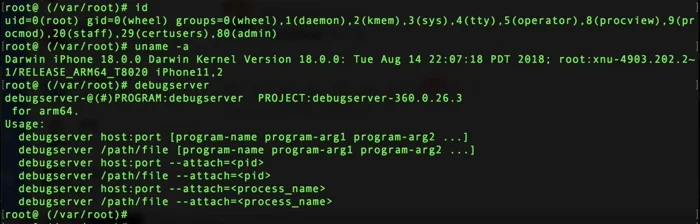 jailbreak ios 12 bypass pac mitigation