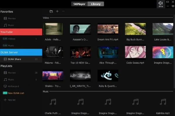 interface lecteur video 5kplayer