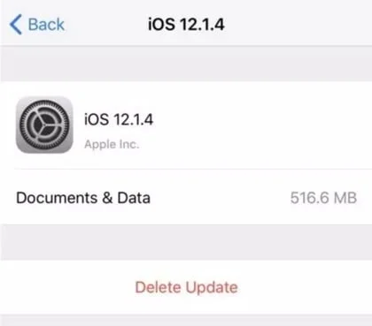mise a jour ios 12.1.4