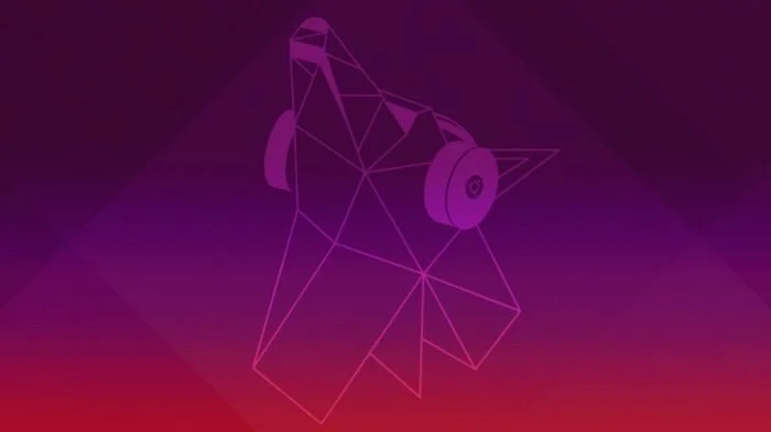nouveau fond ecran ubuntu 19.04 disco dingo