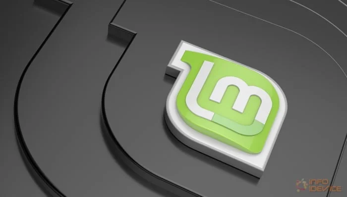 linux mint 19.2 tina
