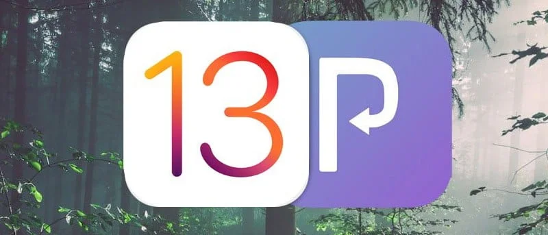 Reprovision Jailbreak Ios 13