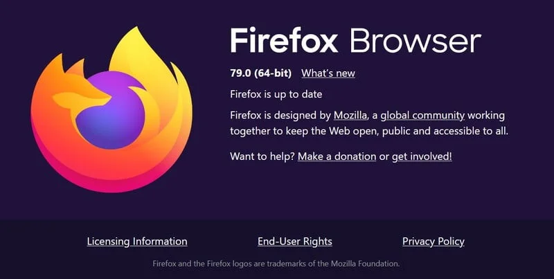 Navigateur Mozilla Firefox 79