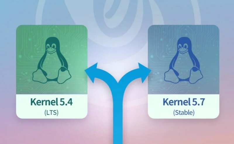 Linux Deepin 20 Dual Kernel