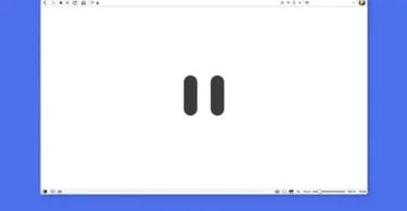 Navigateur Vivaldi Met En Pause Internet
