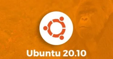Ubuntu 20.10 Groovy Gorilla