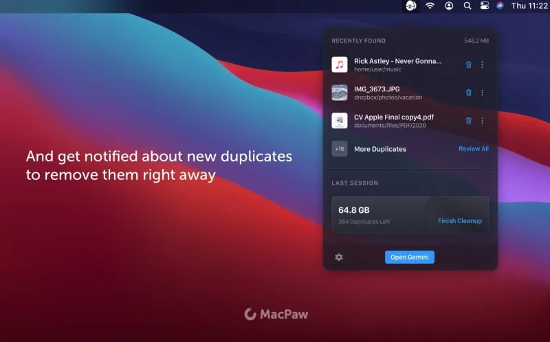 Gemini 2 Macpaw Detection Des Doublons