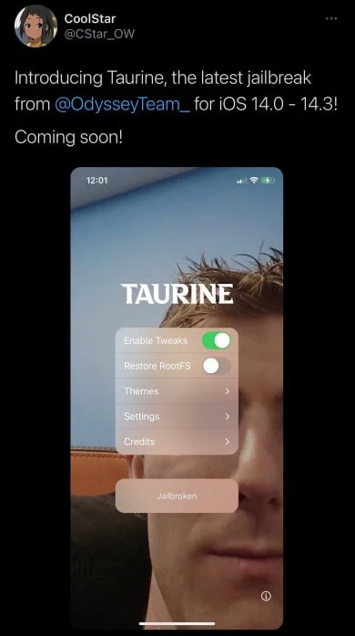 coolstar jailbreak taurine linus tech tips