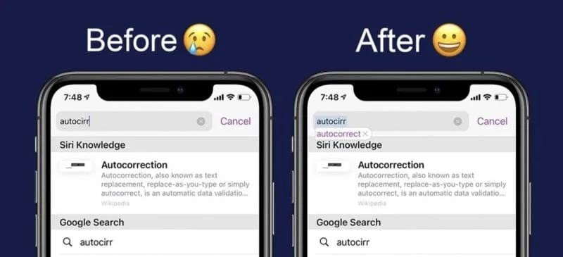 tweak cydia safariautocorrect
