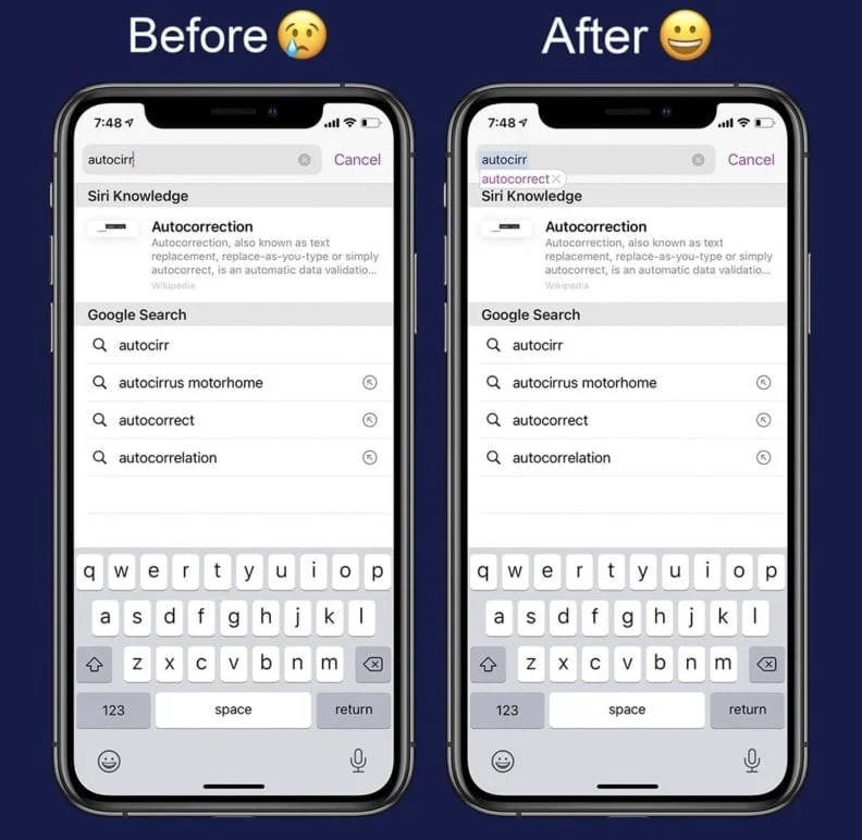 tweak safariautocorrect jailbreak ios 14