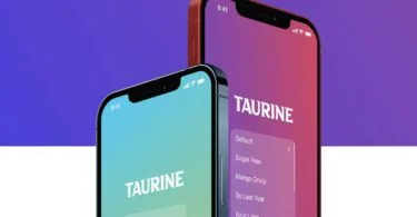 mise a jour jailbreak taurine ios 14