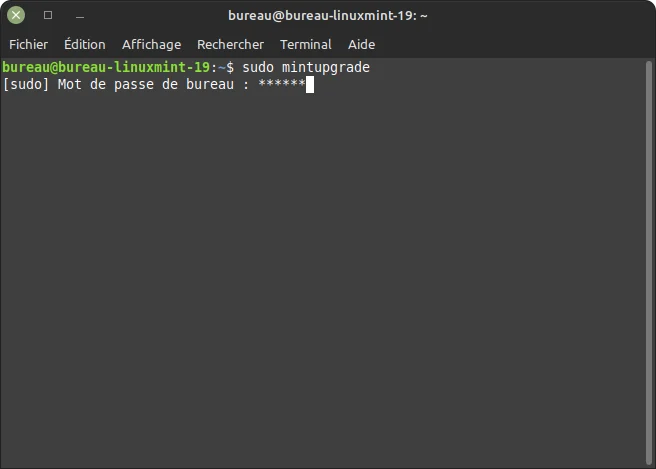 terminal linux mint