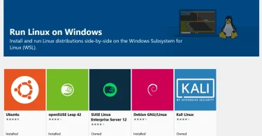 wsl version stable