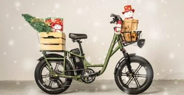velo cargo electrique fiido t1