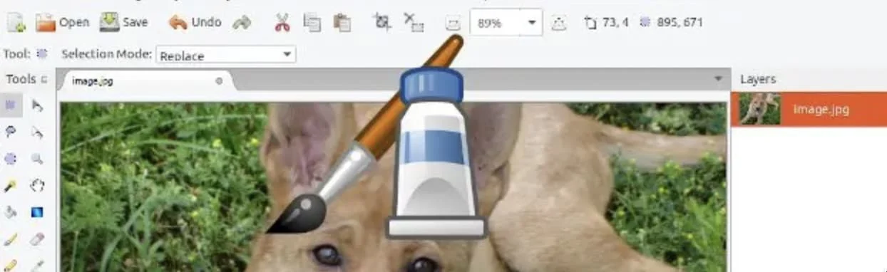 logiciel pinta 2.1