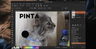 pinta 2.1 linux mac windows