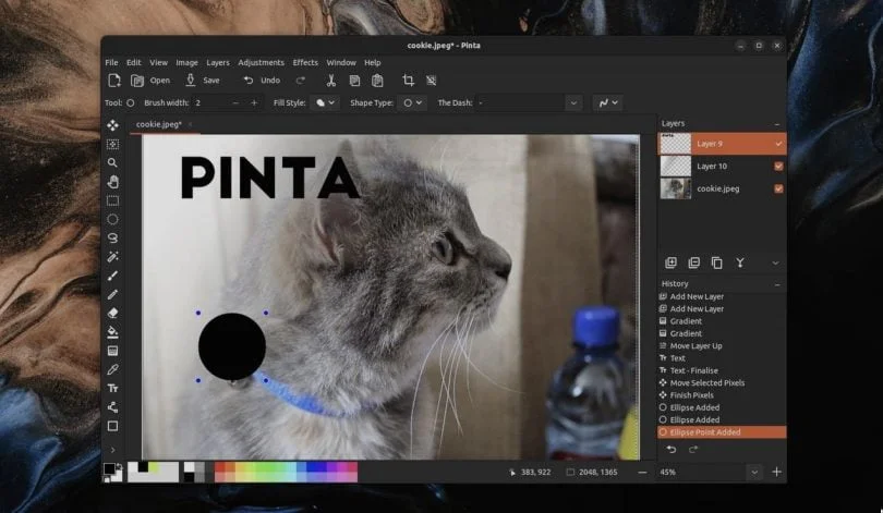 pinta 2.1 linux mac windows