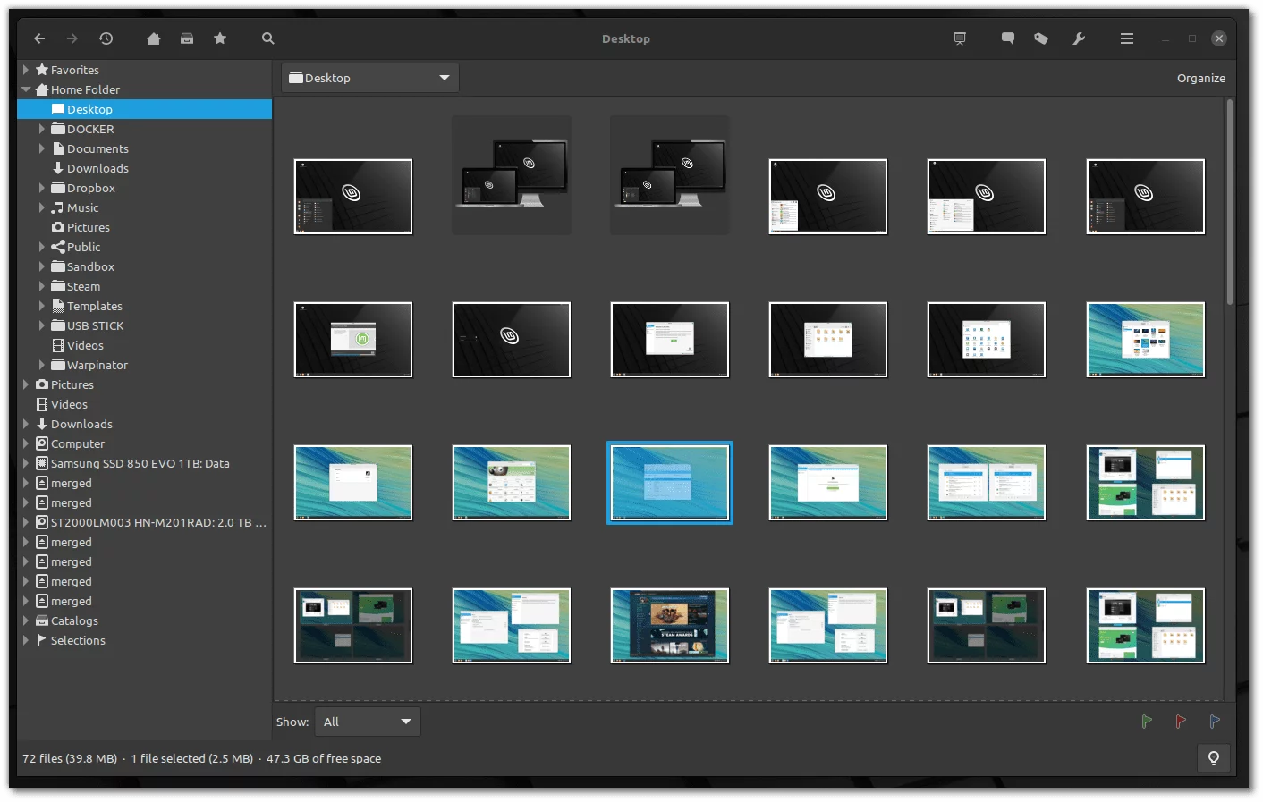 pix linux mint