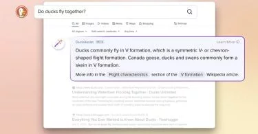 duckassist openai
