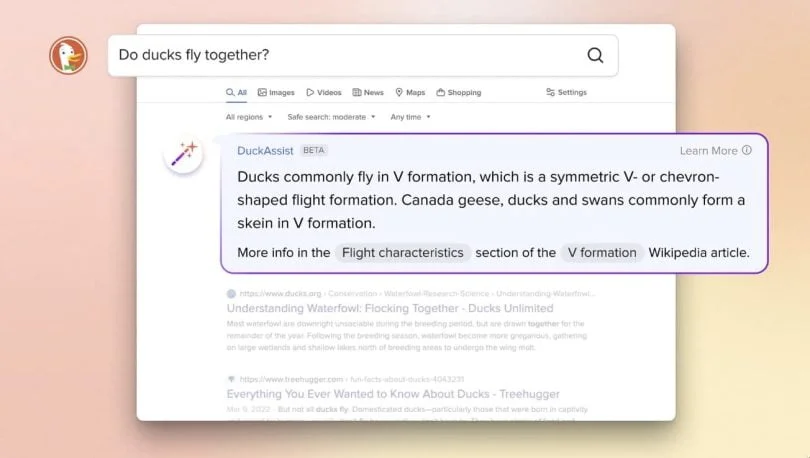 duckassist openai
