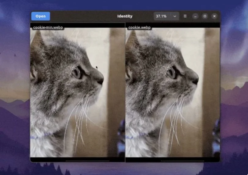 identity compare image et video