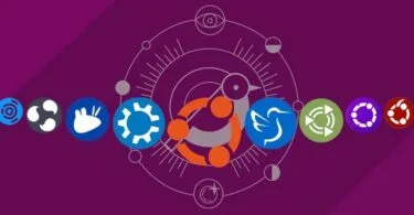 linux ubuntu 24.10