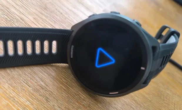 probleme garmin triangle bleu